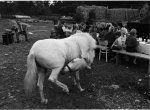 Oslava na vsi. Foto: Jindřich Štreit. Veveří 1990