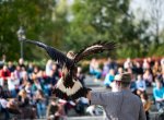 Slezskoostravský hrad v sobotu ožije hodokvasem, chystá se bohatý program