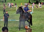 OBRAZEM: koňská krása v centru Ostravy. Soutěžila tu jízdní policie