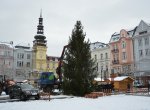 Masarykovo náměstí bude zase zářit. Ostrava má nový vánoční strom