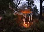 Halloween v ostravské zoo. Chystá se dlabání dýní i lampionový průvod