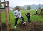 Chcete mít bezbariérovou školu nebo vysadit alej? ČEZ otevřela dva granty