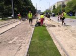 Nové travní koberce ztiší tramvajový provoz na Výškovické ulici a sníží prašnost