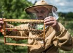 Život na farmě: Jak se žije včelaři se stovkou včelstev