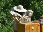 Včelám v Třineckých železárnách se daří, vydaly dalších 16 litrů přírodního medu