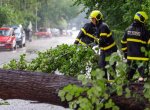 Hasiči po nočních bouřkách čerpají vodu či odstraňují vyvrácené stromy