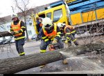 Vítr zesiluje, hasiči vyjíždějí k prvním polámaným stromům