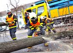 V kraji padají kvůli větru stromy, zoologická zahrada dnes zůstane zavřená