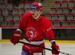 Oceláře posílí reprezentant, hráč se zkušenostmi z NHL a KHL Nestrašil