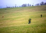 Kravička se vydala na svobodu, naháněli ji hasiči i policie