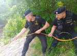 Dvě ženy se tak opily, že je na břeh museli na laně vytáhnout policisté