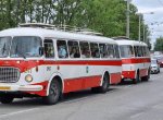 Obrazem: do zoo vozí návštěvníky historický trolejbus a autobus RTO