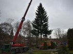 Frýdek-Místek má vánoční strom s příběhem. Daroval ho muž, který zemřel na covid