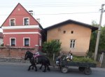 Velké Hoštice: Vesnice roku a místo, kde na rozdíl od jiných přibývá obyvatel