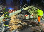 Na auto spadl strom, hasiči zasahovali kvůli větru u stovek událostí