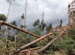 Vítr láme stromy na Bruntálsku, uzavřena je část silnice I/11