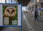 Zoo Ostrava představuje na nádražích kraje své záchranné programy