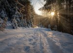 Oblíbený spoj se vrací. Od ledna bude opět jezdit skibus Beskydy