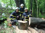 Z běžného zásahu ostravských hasičů se vyklubala záchrana malých strakapoudů