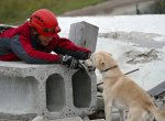 ​Ostravští skauti zvou do Trojhalí na dětský den, účastníci podpoří záchranáře